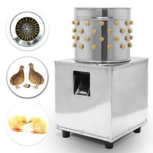 60cm (4-5 Bird) Chicken Feather Plucker poultry processing machine detail view 6
