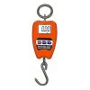 Crane / Wall Hanging Scale - 200kg butchery packing and counter support equipment detail view 3