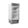 Staycold Half Door Display Freezer - HD580F commercial display fridge detail view 5