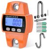Crane / Wall Hanging Scale - 300kg butchery packing and counter support equipment detail view 4