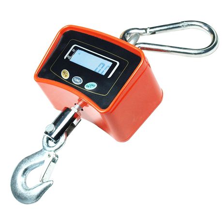 Crane / Wall Hanging Scale - 500kg butchery packing and counter support equipment detail view 3
