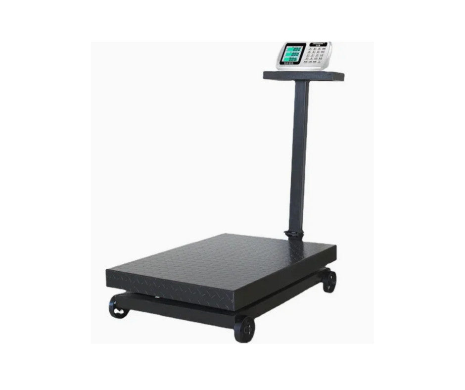 800kg Platform Scale - With Wheels butchery packing and counter support equipment for South African butcheries