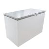 Fridgestar Chest Freezer CE430 - 390LT detail image 3