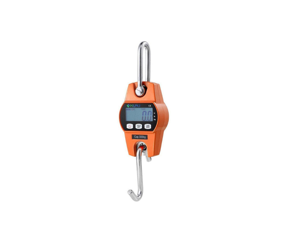 Crane / Wall Hanging Scale - 300kg butchery packing and counter support equipment for South African butcheries