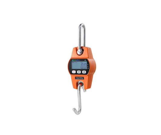 Crane / Wall Hanging Scale - 300kg butchery packing and counter support equipment for South African butcheries