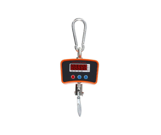 Crane / Wall Hanging Scale - 500kg butchery packing and counter support equipment for South African butcheries